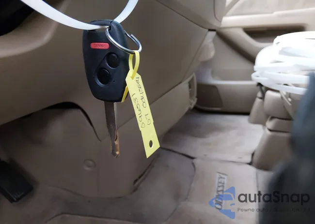 5FNRL38217B096531: 43928715