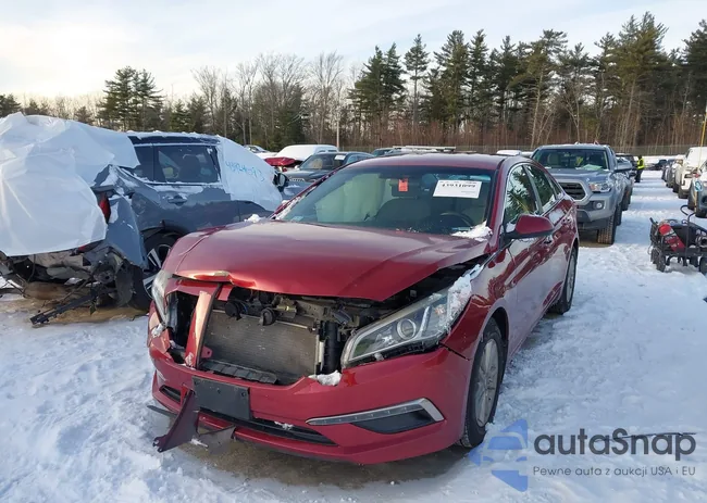 5NPE24AF8FH190426: 43931099