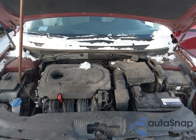 5NPE24AF8FH190426: 43931099