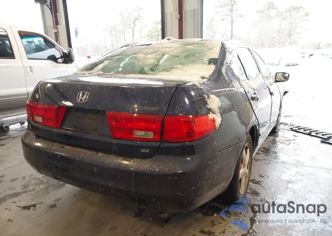 1HGCM56875A069931: 43931243