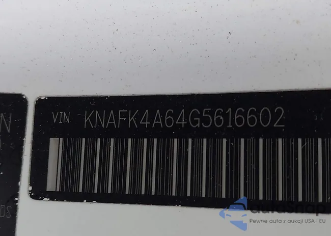 KNAFK4A64G5616602: 43931369