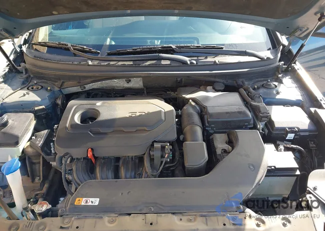 5NPE24AF2GH269253: 43930604