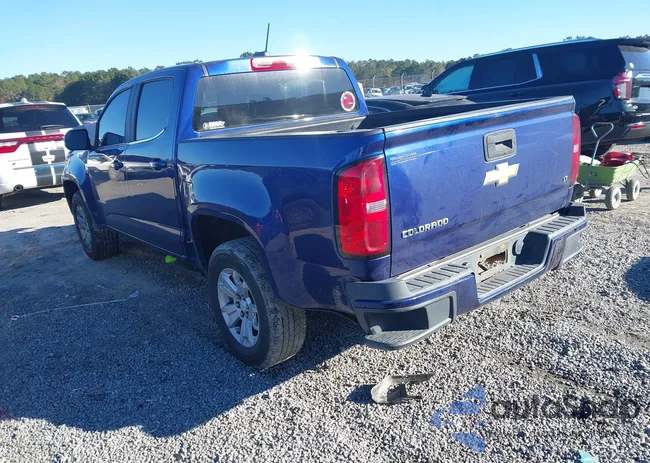 1GCGSCEA1G1242408: 43931973