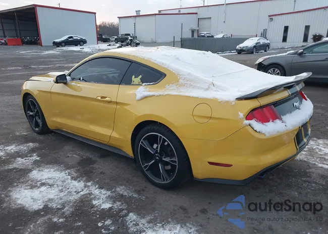 1FA6P8TH5H5320375: 43931448