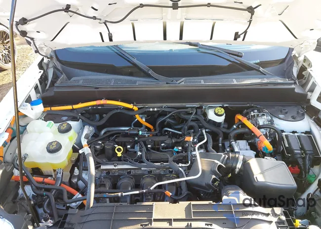 3FTTW8E35PRA41599: 43931613