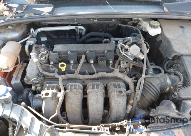 1FADP3K24JL210846: 43931738