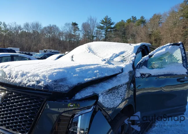 1GYS9FRL3SR281833: 43933856