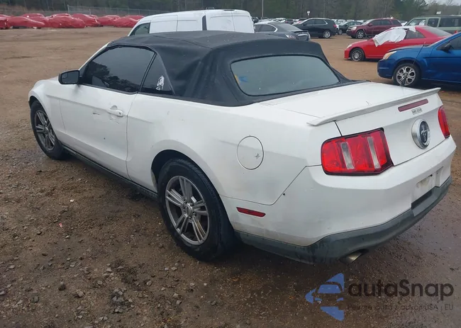 1ZVBP8EM8C5287929: 43934002