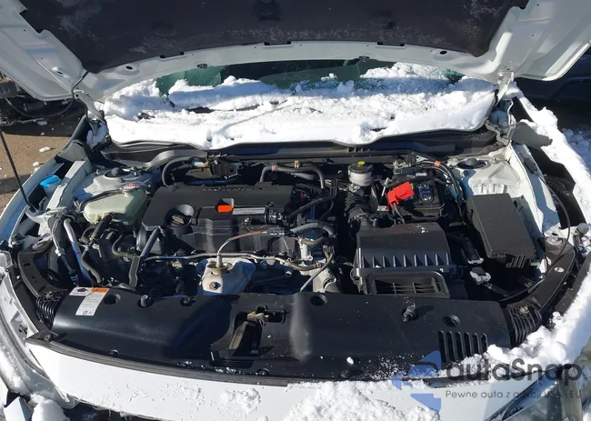 2HGFC2F85KH586950: 43934353