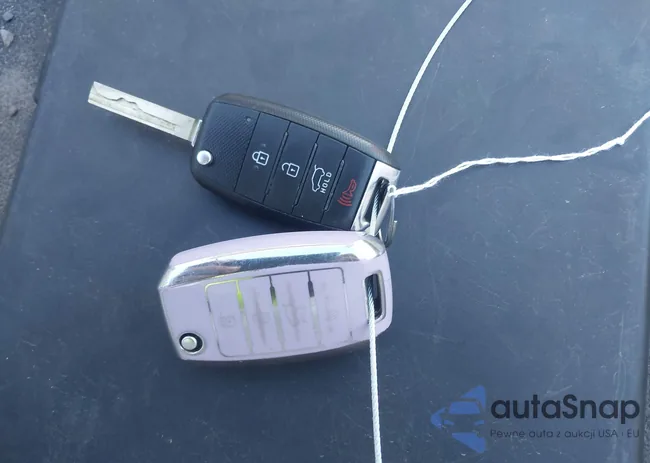 5XYPG4A35HG197215: 43934821