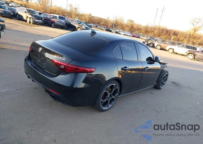 ZARFAMBN6P7667847: 43934885