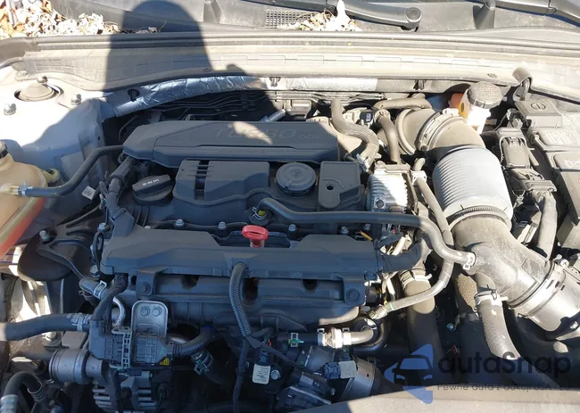 5XXG64J23PG214994: 43935006