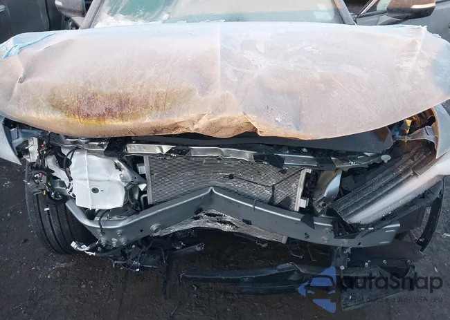 4W5KHNRL4RZ508334: 43935069