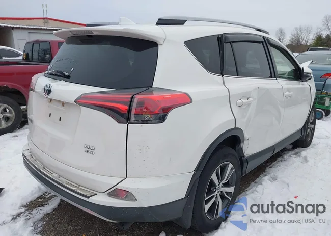 JTMRFREV4JD256375: 43935300