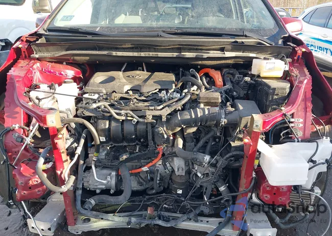 5TDKSKFC1RS117953: 43935321