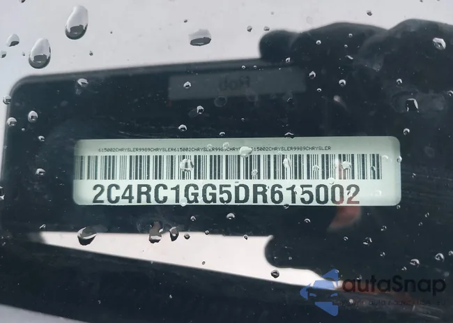 2C4RC1GG5DR615002: 43936788