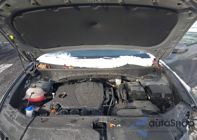 5NMJACDEXSH457555: 43937044