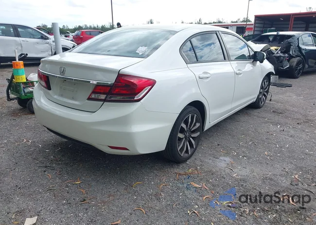 19XFB2F94FE028745: 43937058