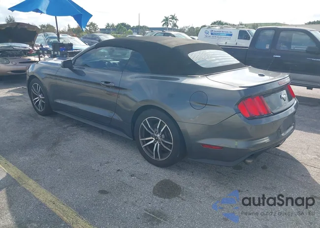 1FATP8UH1G5226851: 43936426