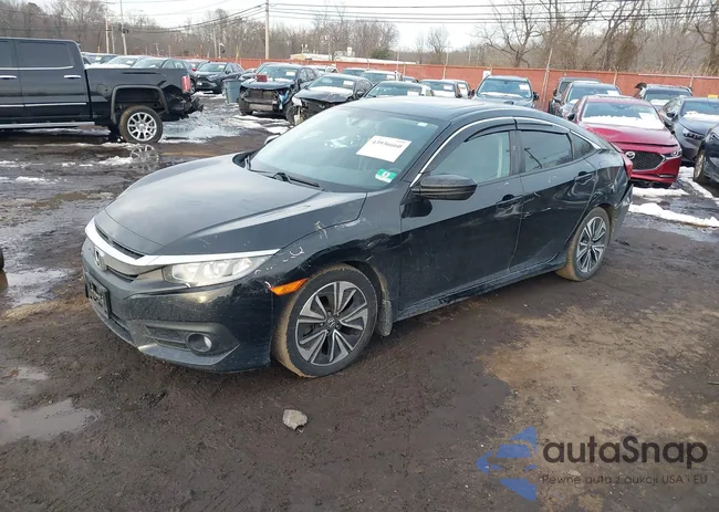 2HGFC1F77GH638281: 43936660