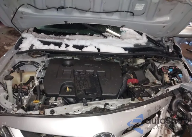 2T1BU4EE2DC061872: 43936707