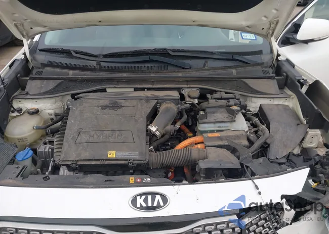 KNDCC3LC3H5061420: 43938019