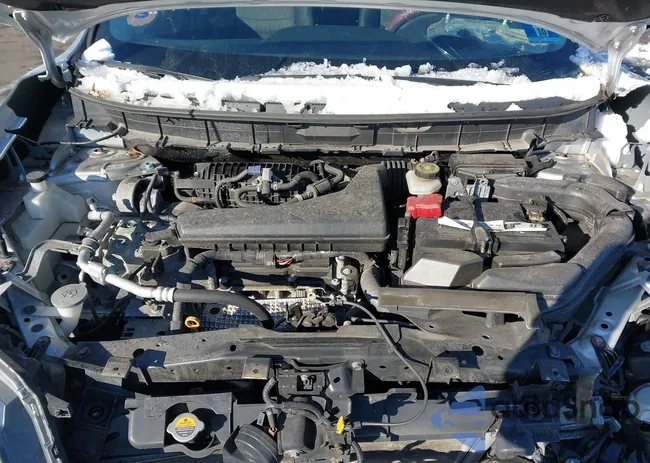 JN8AT2MV1LW137533: 43938316