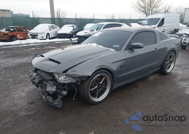 1ZVBP8CF5C5274818: 43939212