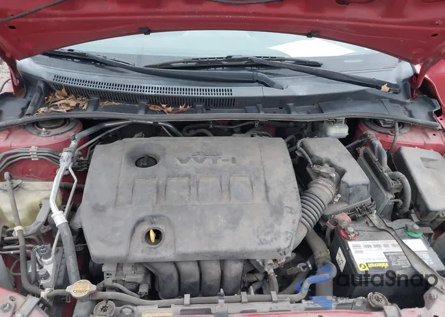 2T1BU4EE1CC857561: 43938698