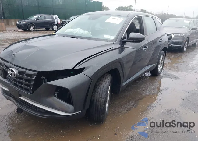 5NMJACAEXPH207020: 43940178