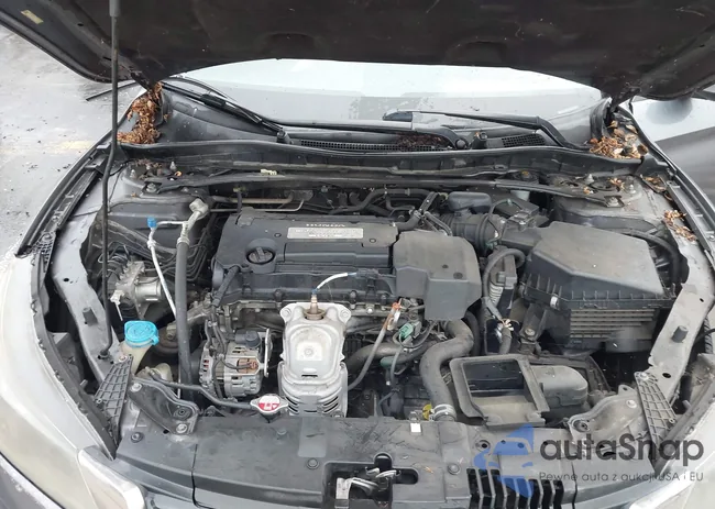 1HGCR2F86DA024378: 43940367