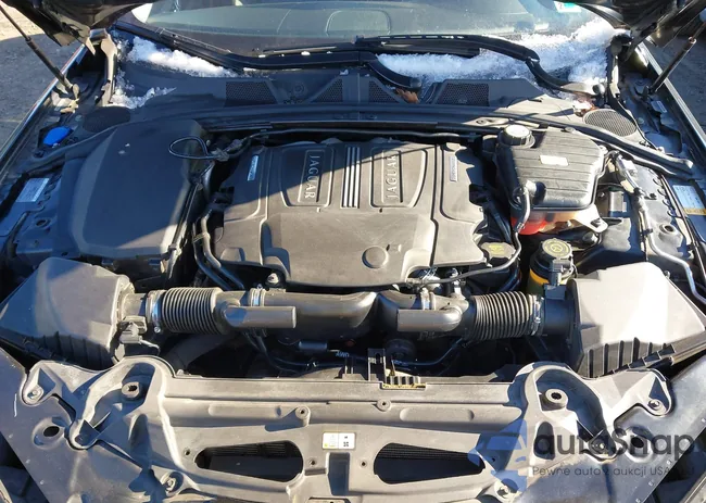 SAJWJ0EF1D8S86020: 43939496