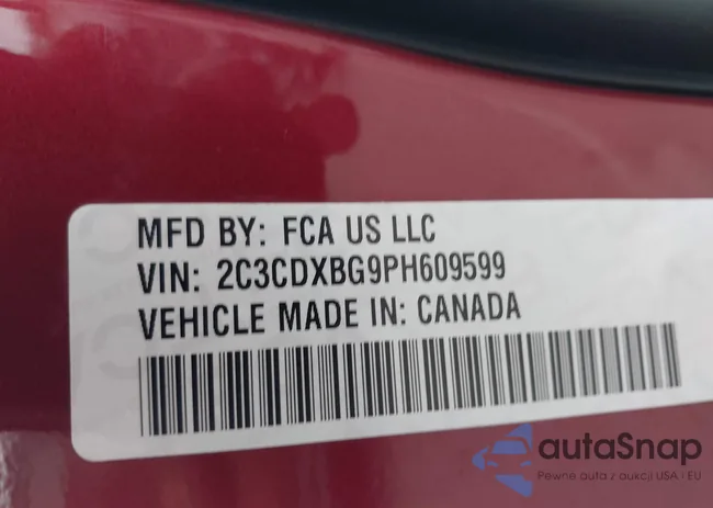 2C3CDXBG9P8609599: 43939504