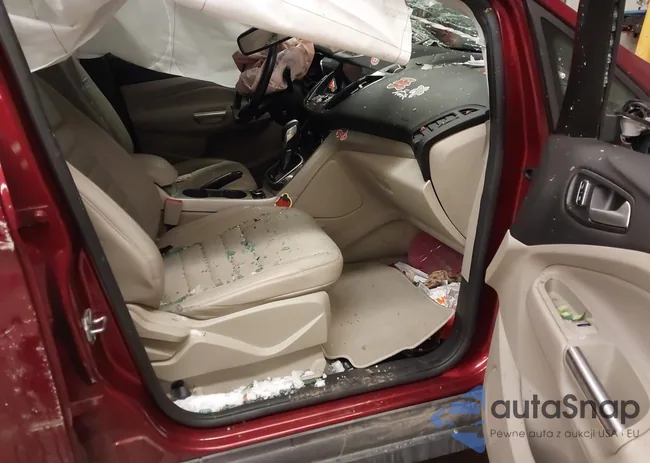 1FADP5CU9GL116952: 43939555