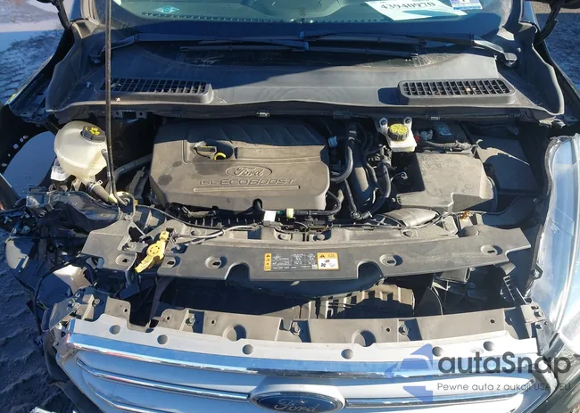 1FMCU0GD2JUD46437: 43940970