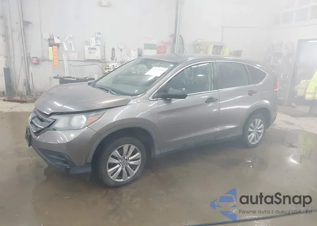 5J6RM4H39EL012116: 43941008