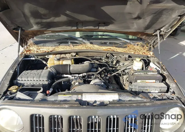 1J4GL38K46W119439: 43941362