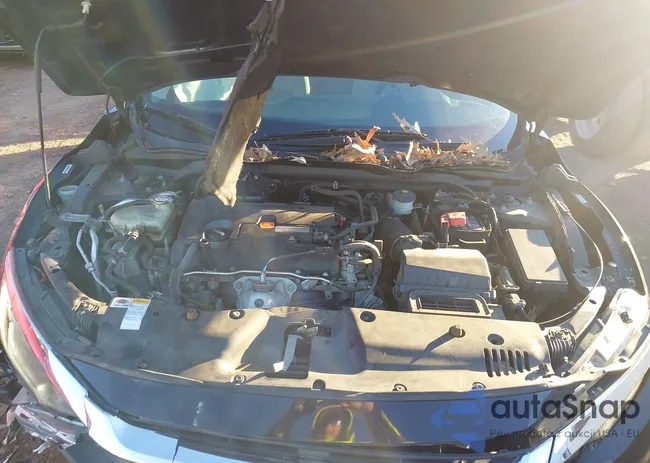 2HGFC2F74GH522316: 43940737