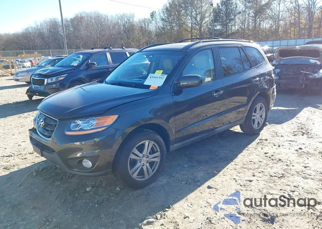 5NMSK4AG5AH336069: 43941552