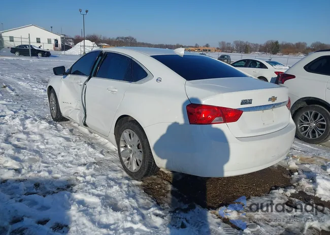 2G11X5SAXG9184908: 43941662