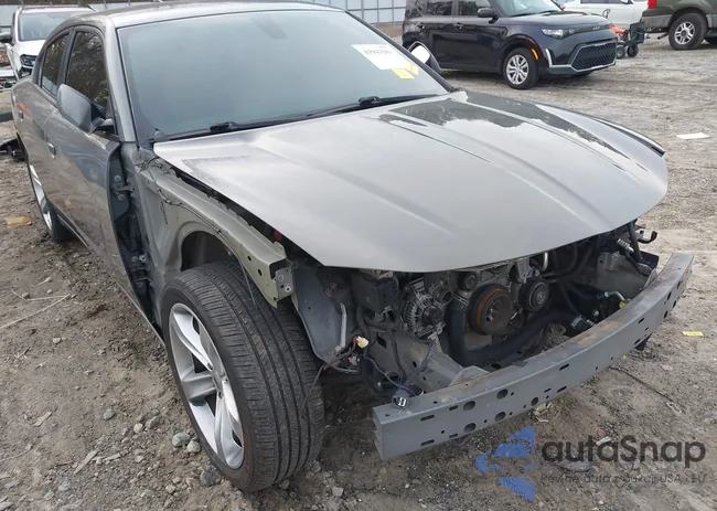 2C3CDXCTXHH667492: 43943101