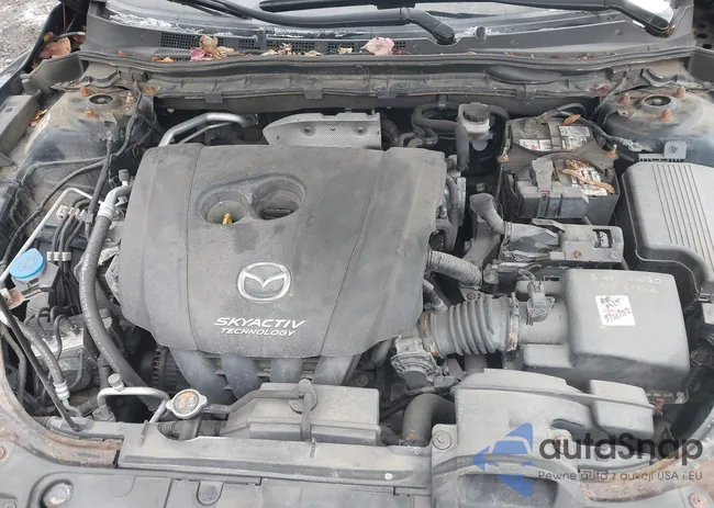 JM1GJ1V52F1217316: 43943277