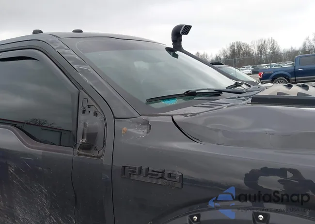 1FTEW1EP1HFC10910: 43943830