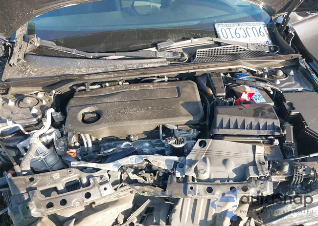 2HGFE2F53SH523877: 43944341