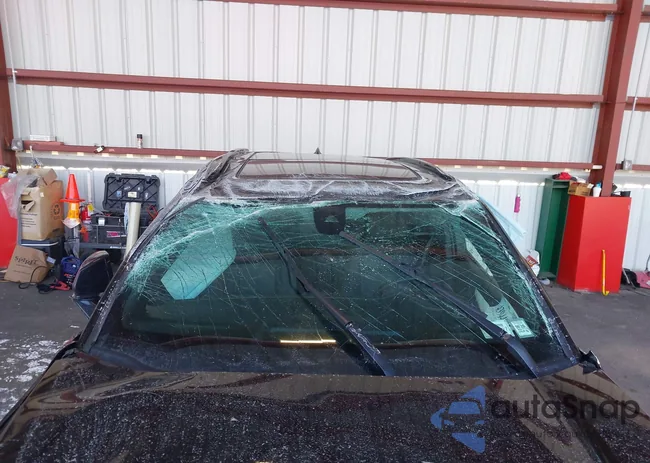 3GNKBHRS3KS646500: 43944895