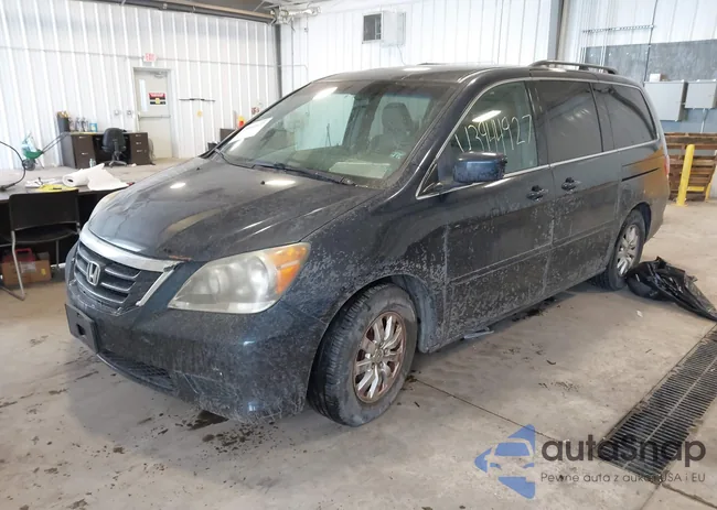 5FNRL3H46AB030775: 43944927