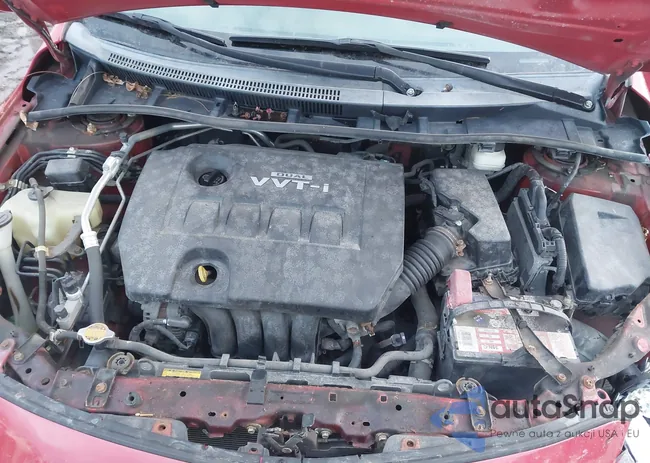 2T1BU4EEXAC331894: 43945084