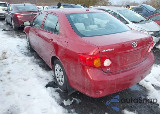 2T1BU4EEXAC331894: 43945084