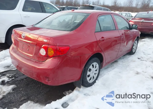 2T1BU4EEXAC331894: 43945084