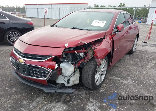 1G1ZD5ST6JF244419: 43945182